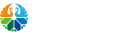 天鹅湖